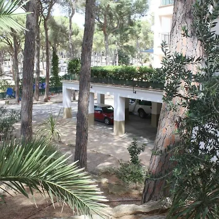 Precioso Apartamento Con Piscina. Pals Exterior foto